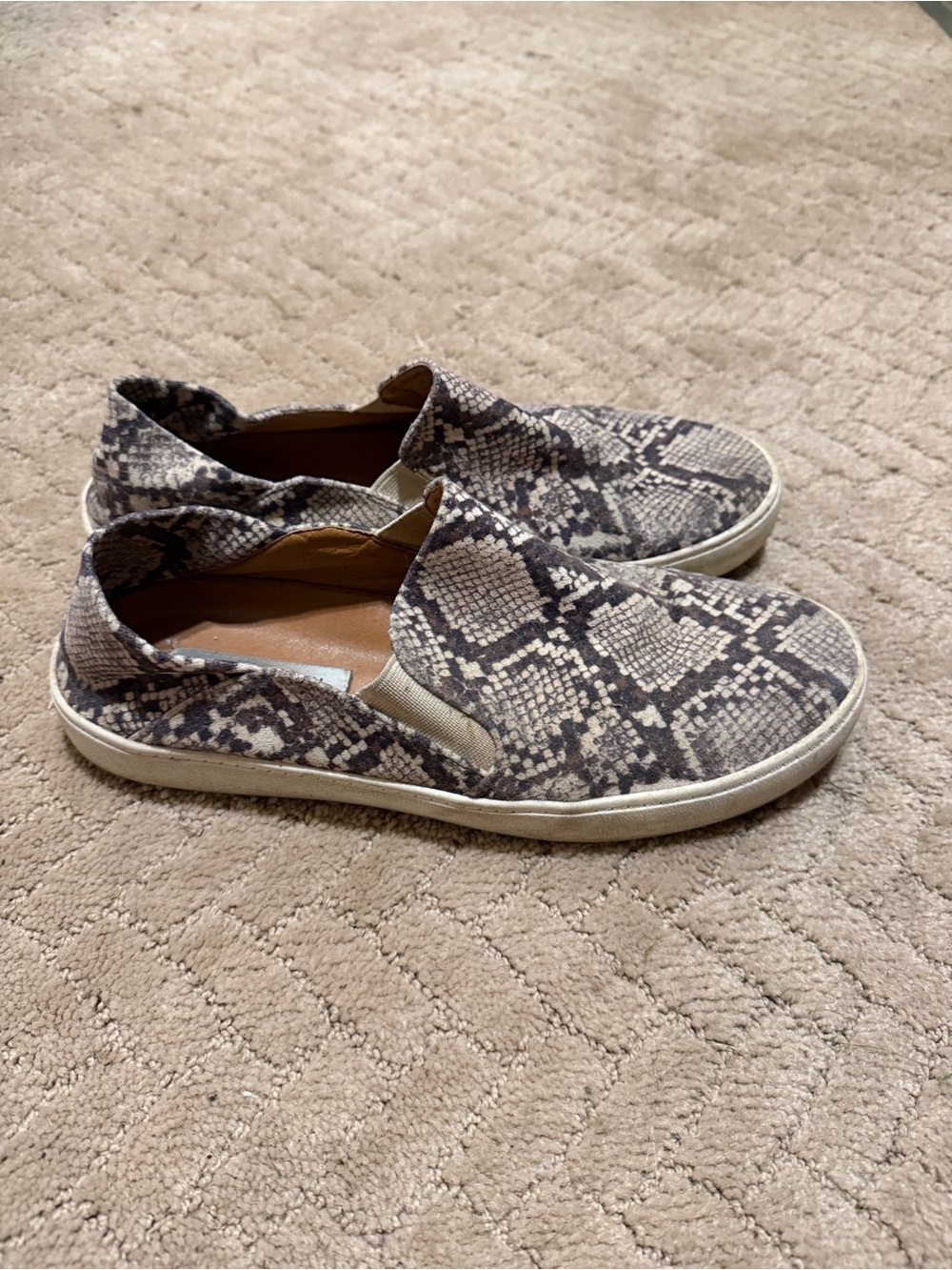 Steve Madden Snake-Print Slip-On Sneakers